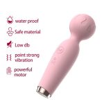 Premium Personal Massager with 10 Modes - Rechargeable Wellness Device